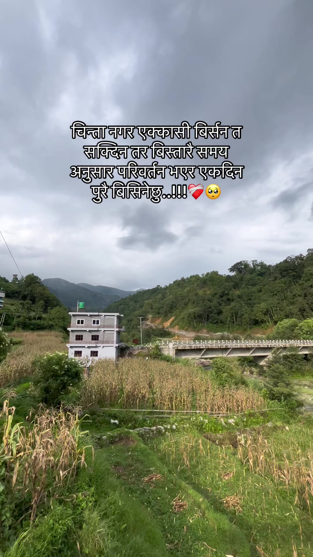 @☮️🕊️
