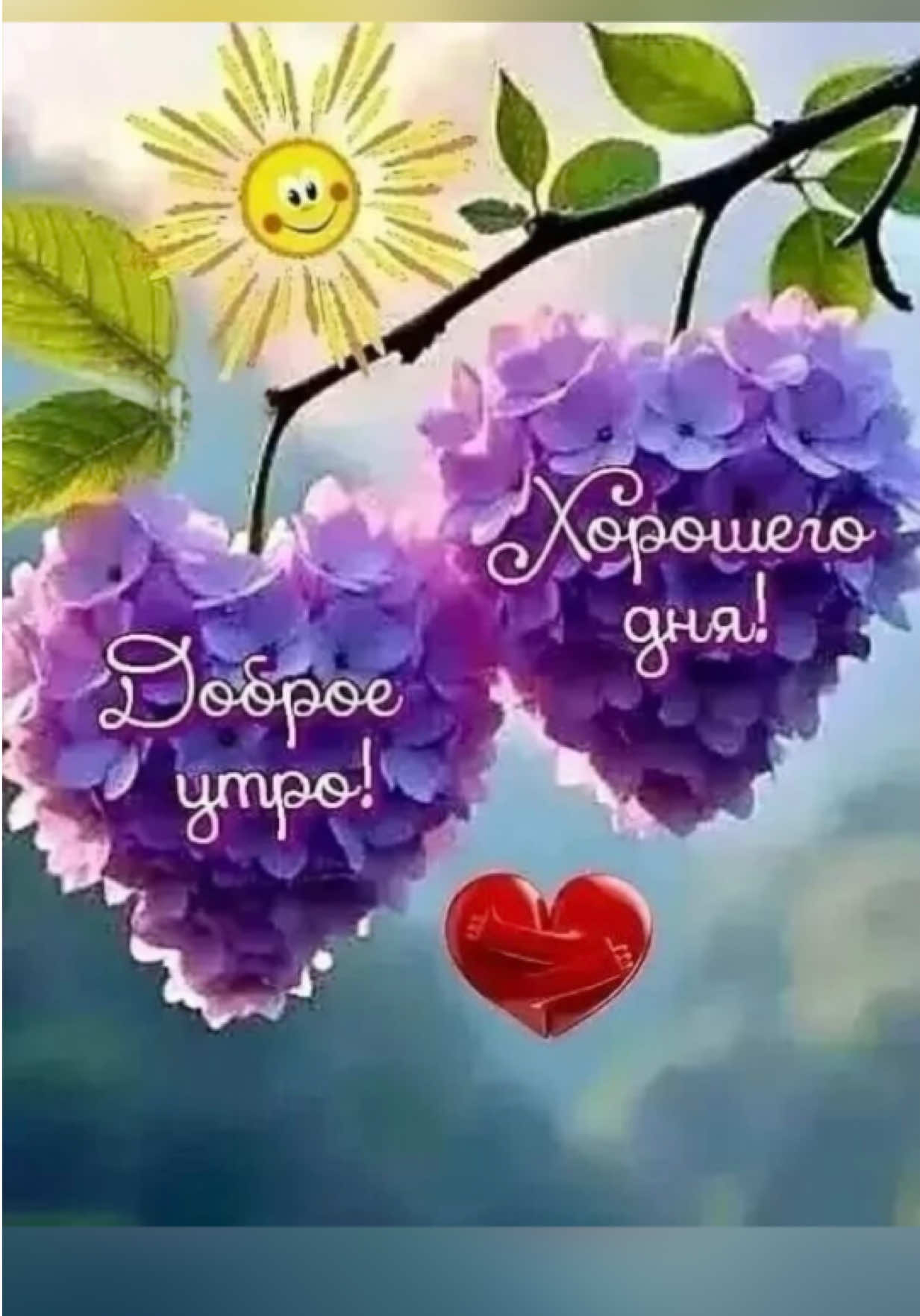 @111chao777