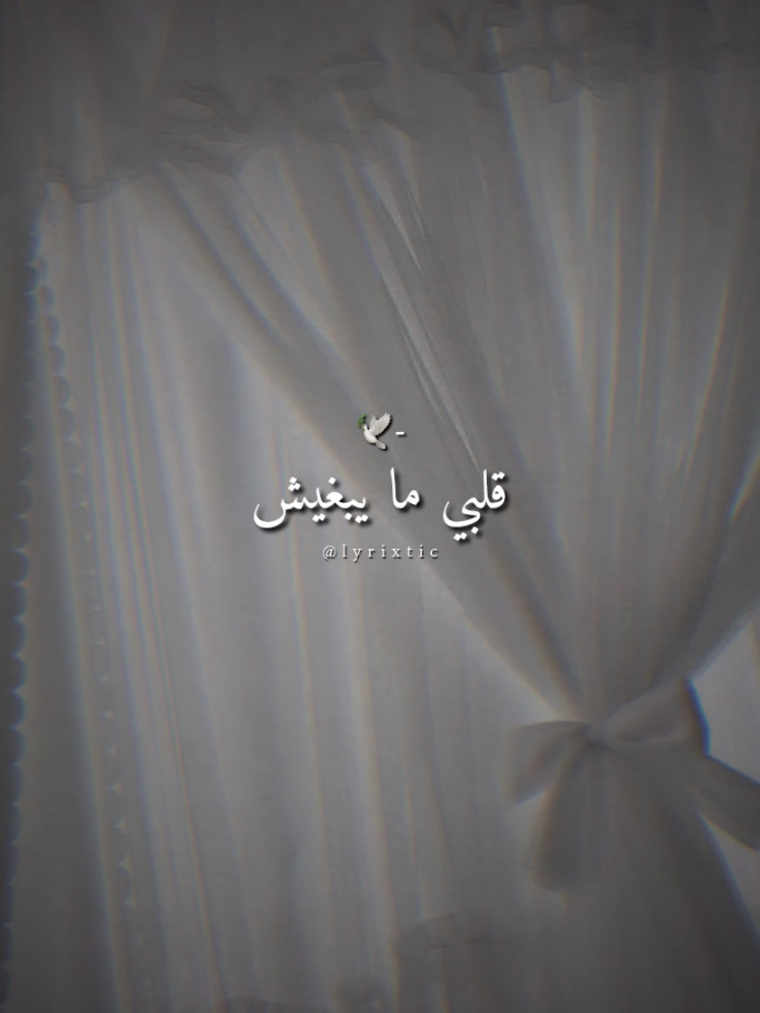 @˙.◌˚𝐋𝐲𝐫𝐢𝐱𝐭𝐢𝐜🦋.•