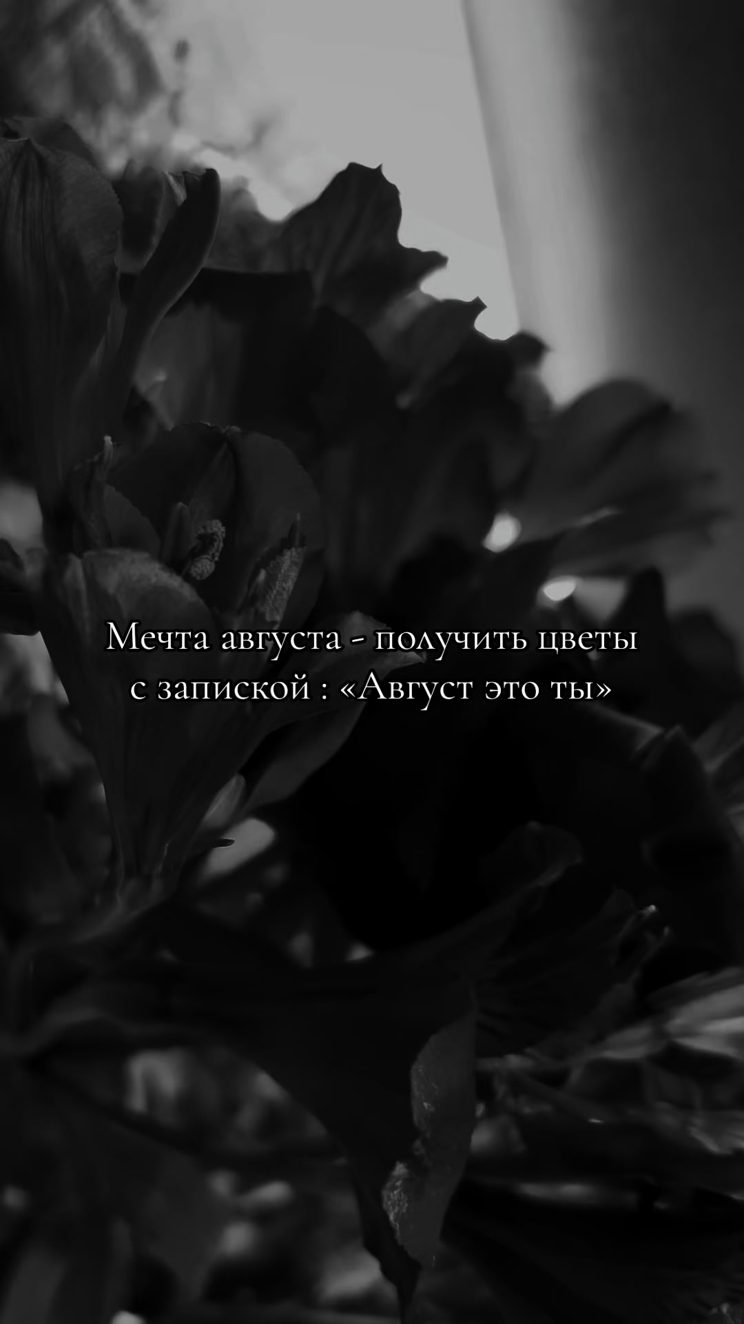 @Вячеславовна
