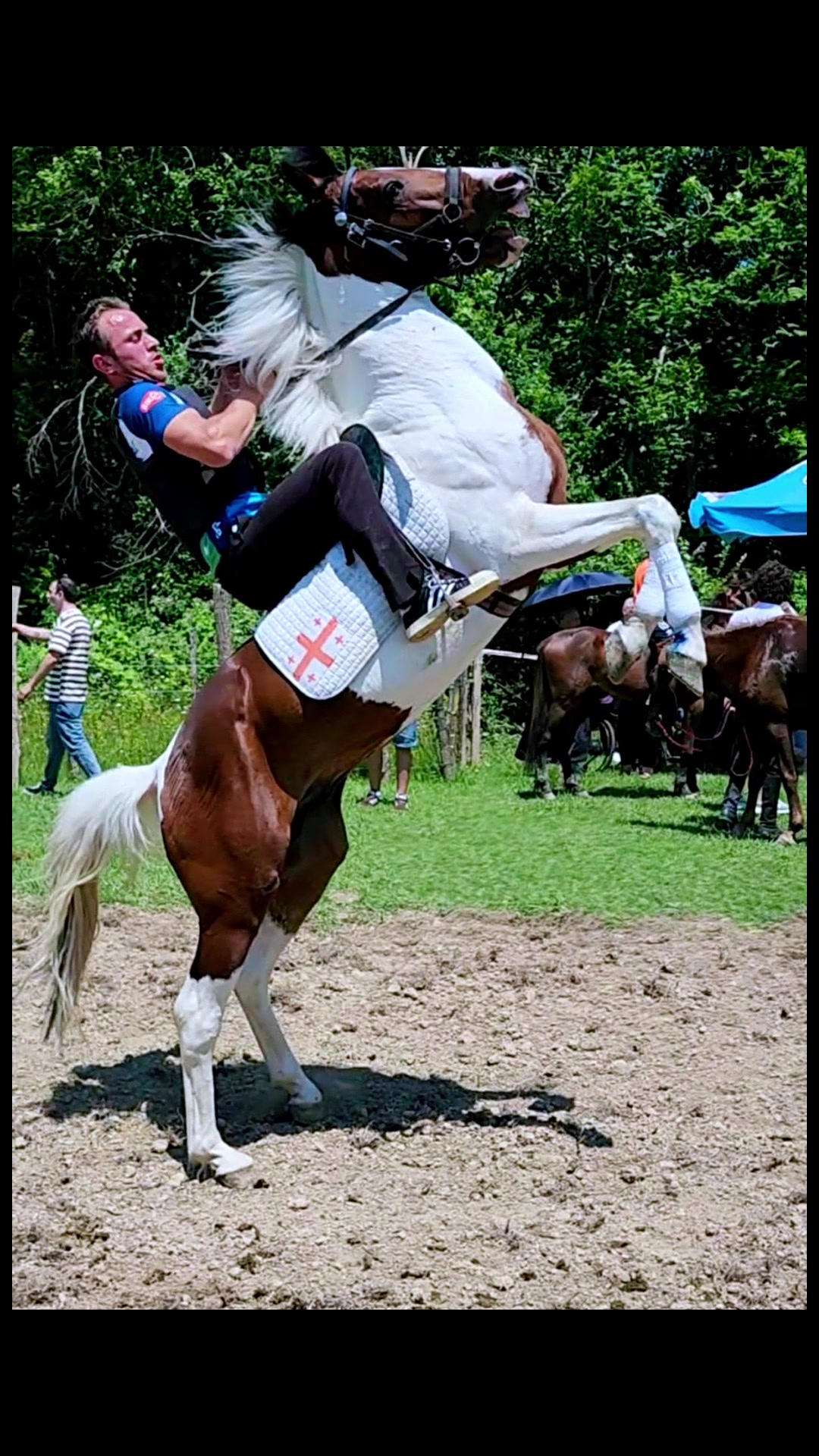 @koba kikacheihvili