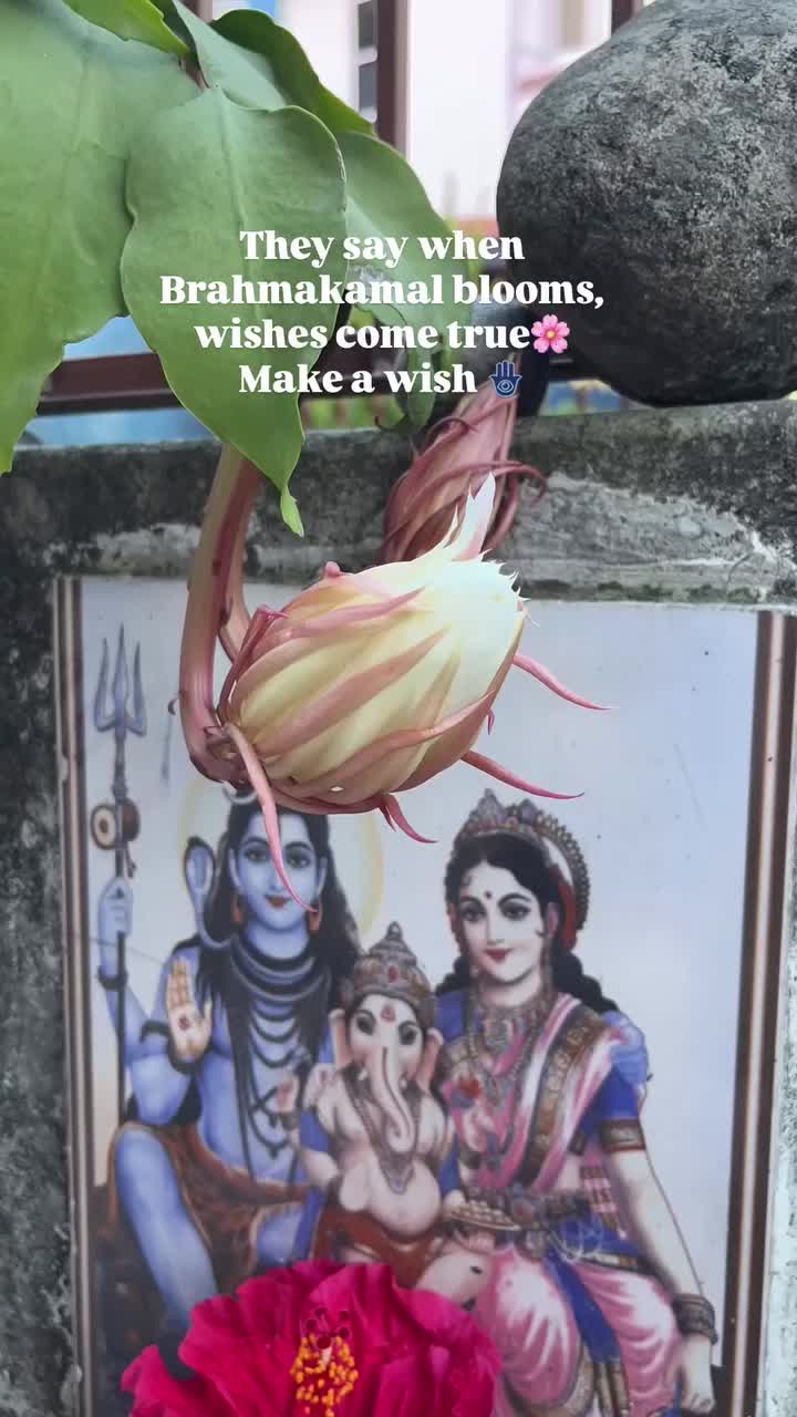 @सदाशिव🕉️