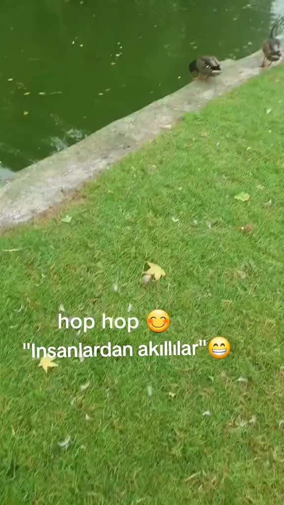 @⚜️AY_MO_03⚜️