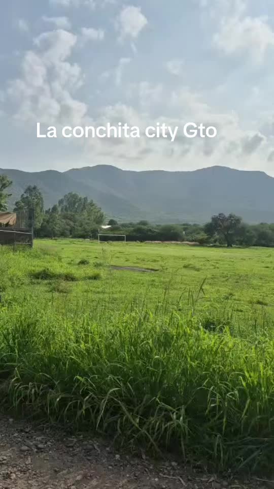 @antonysaavedra55