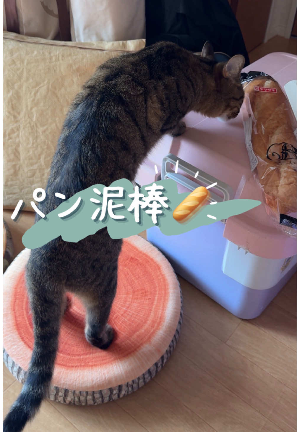 @さっことおちょ