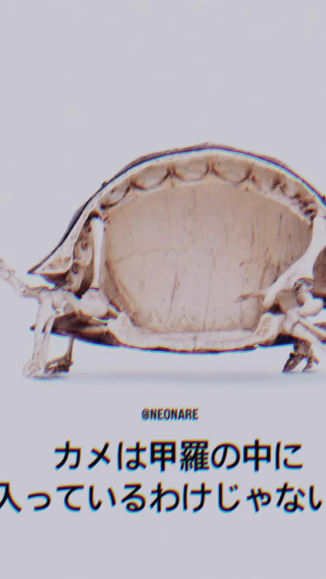 @❤︎**✰︎*まぁ*✰︎**❤︎