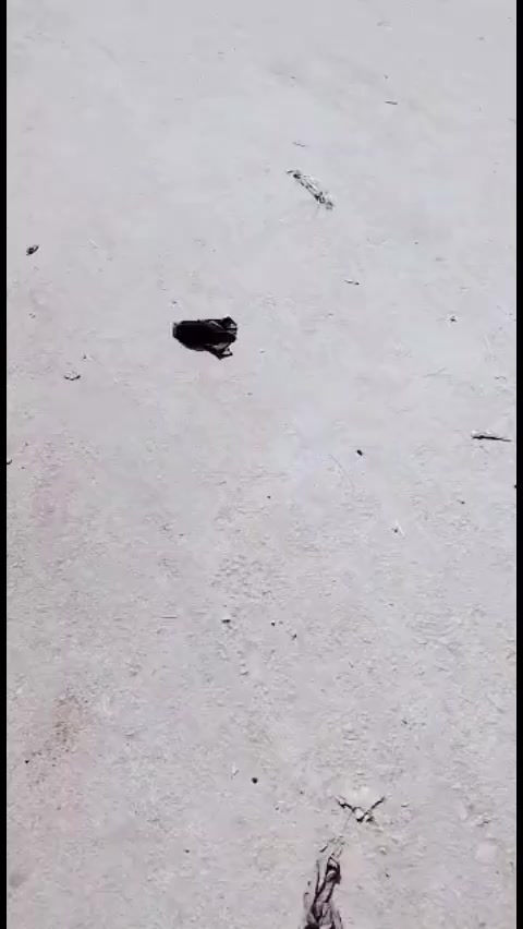 @Nawaz Khan