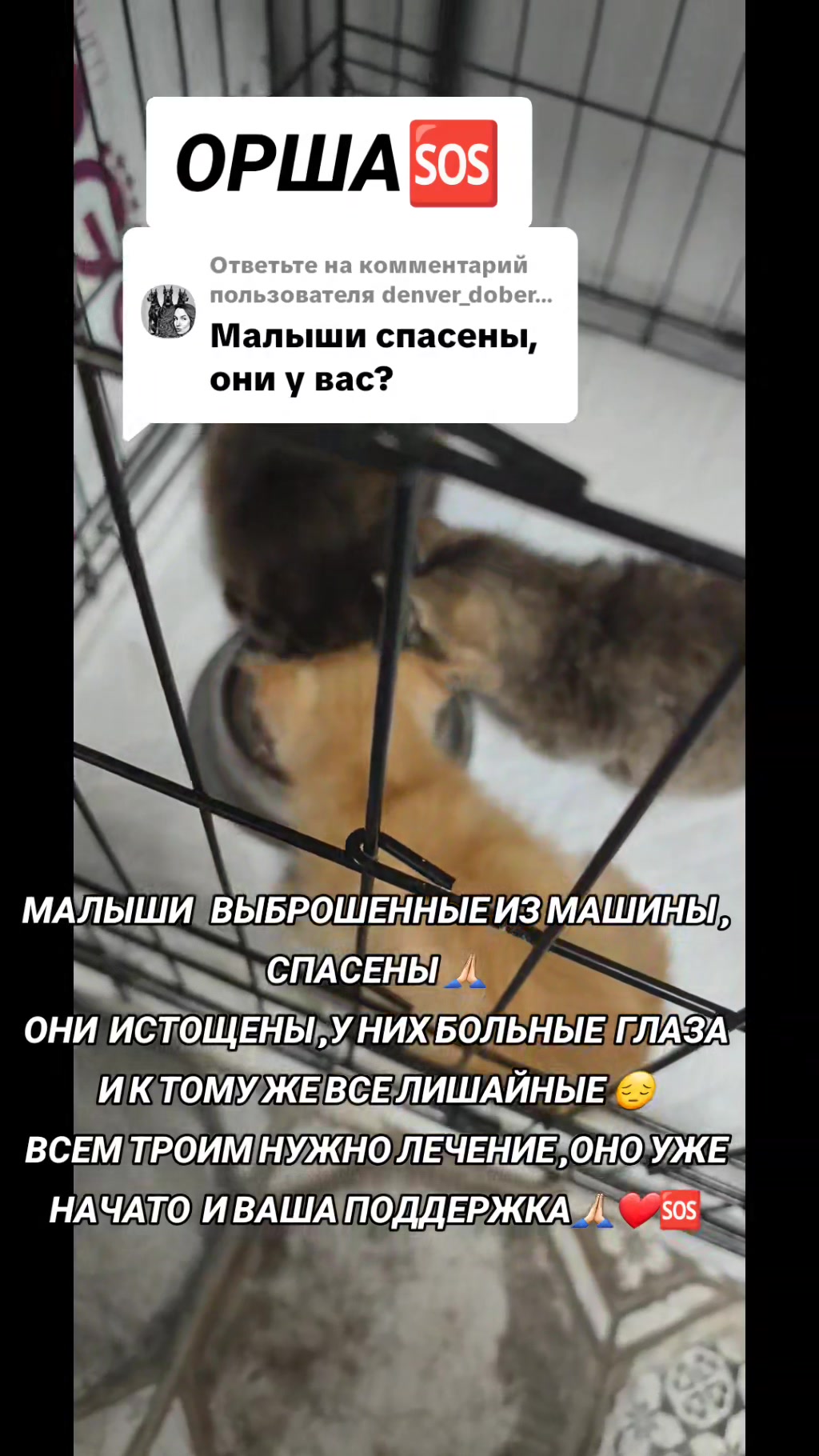 @marinka20_09