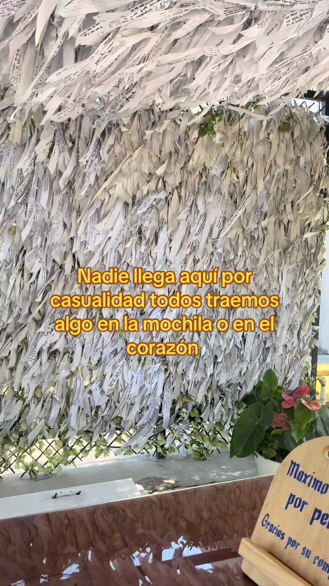 @Nina Arellano