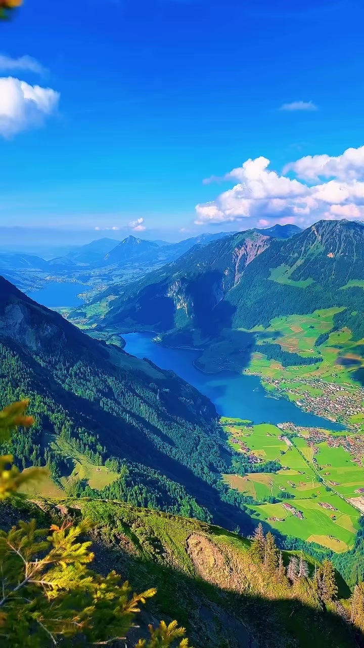 @S̳w̳i̳s̳s̳🇨🇭s̳c̳h̳w̳e̳i̳z̳
