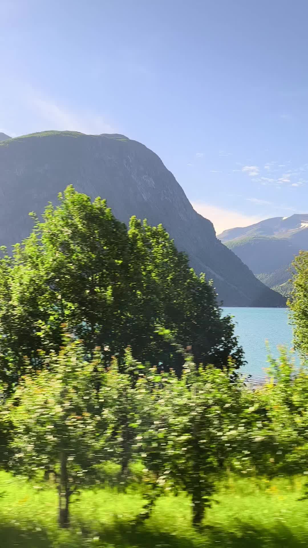 @Massimo 🇮🇹