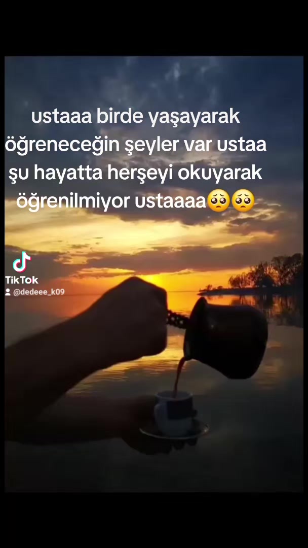 @⚜️wolf usta ⚜️