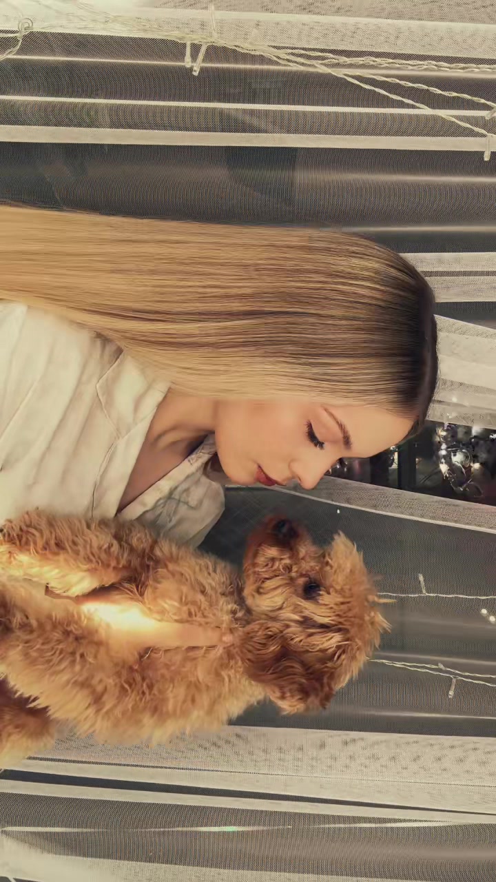 @Алиса