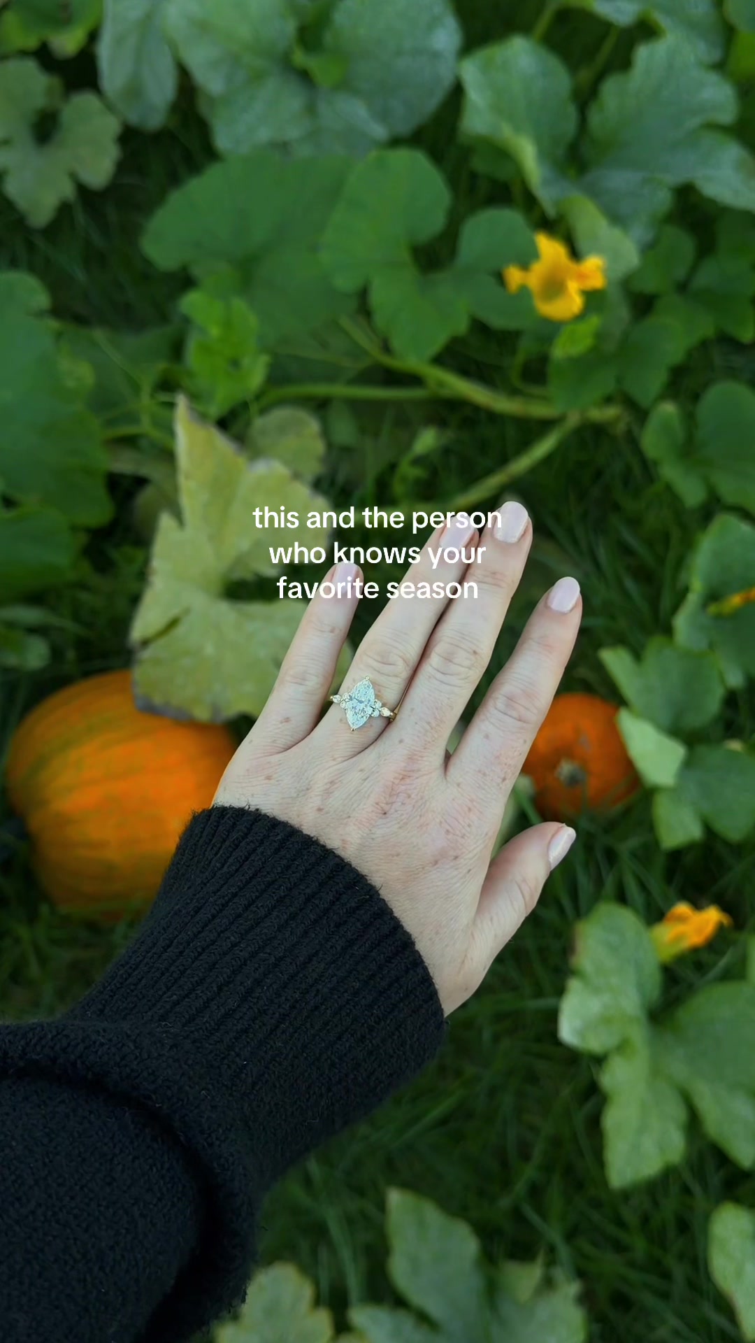 @Plum Diamonds