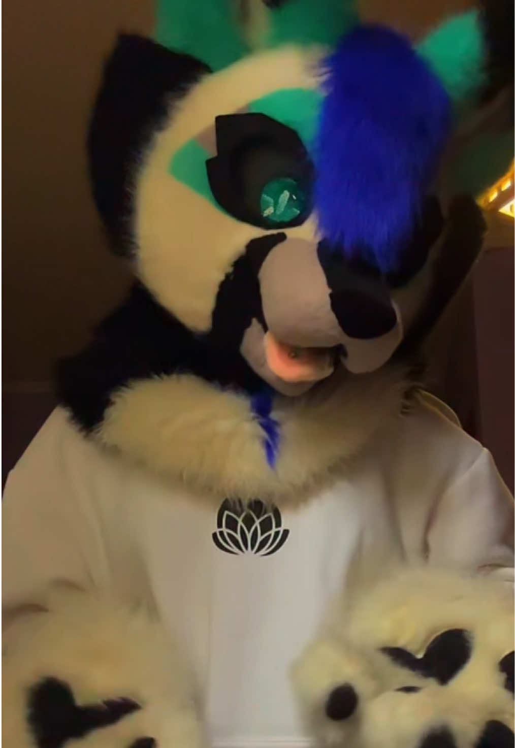 @🥟FLUFFY DUMPLING🥟🔜HebiHebi
