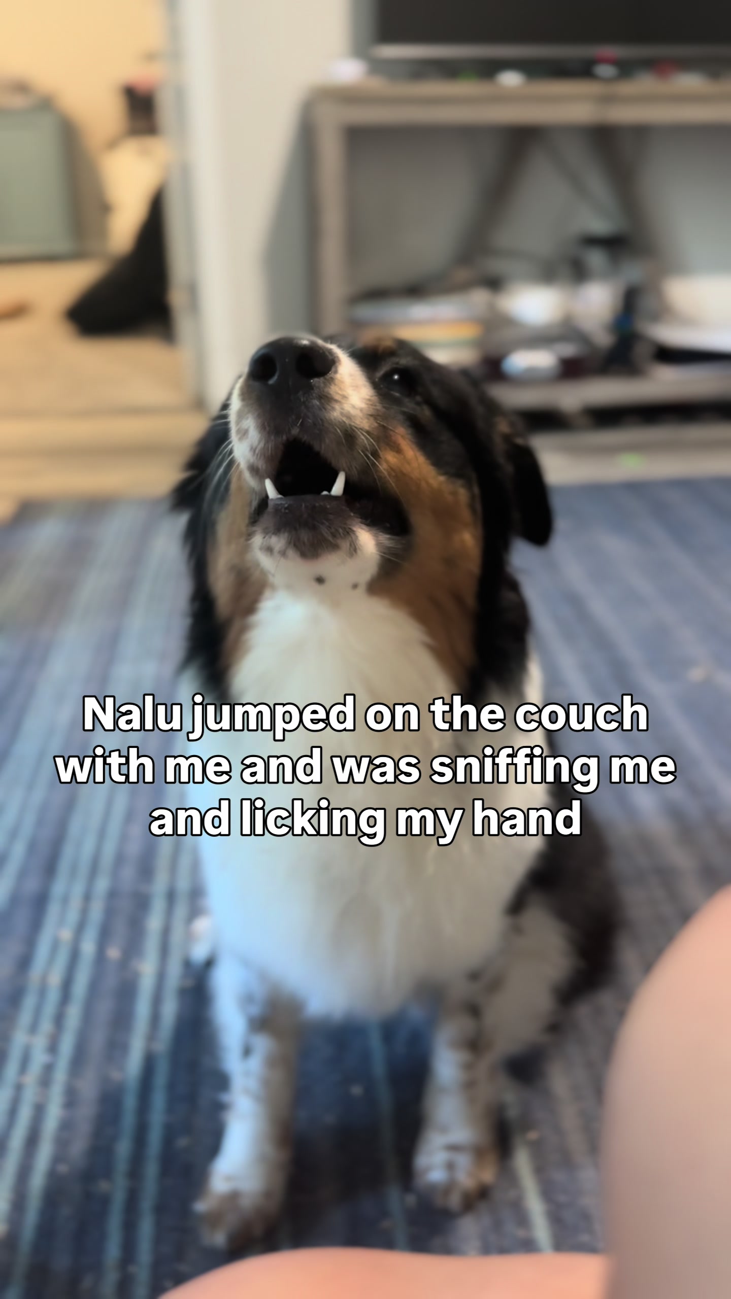 @thesaltysheps