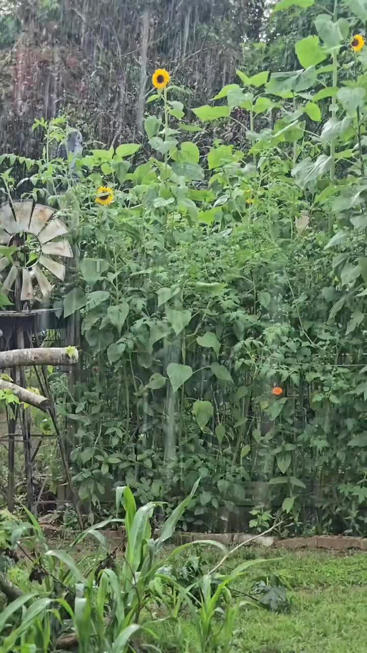 @remnantwarrior777