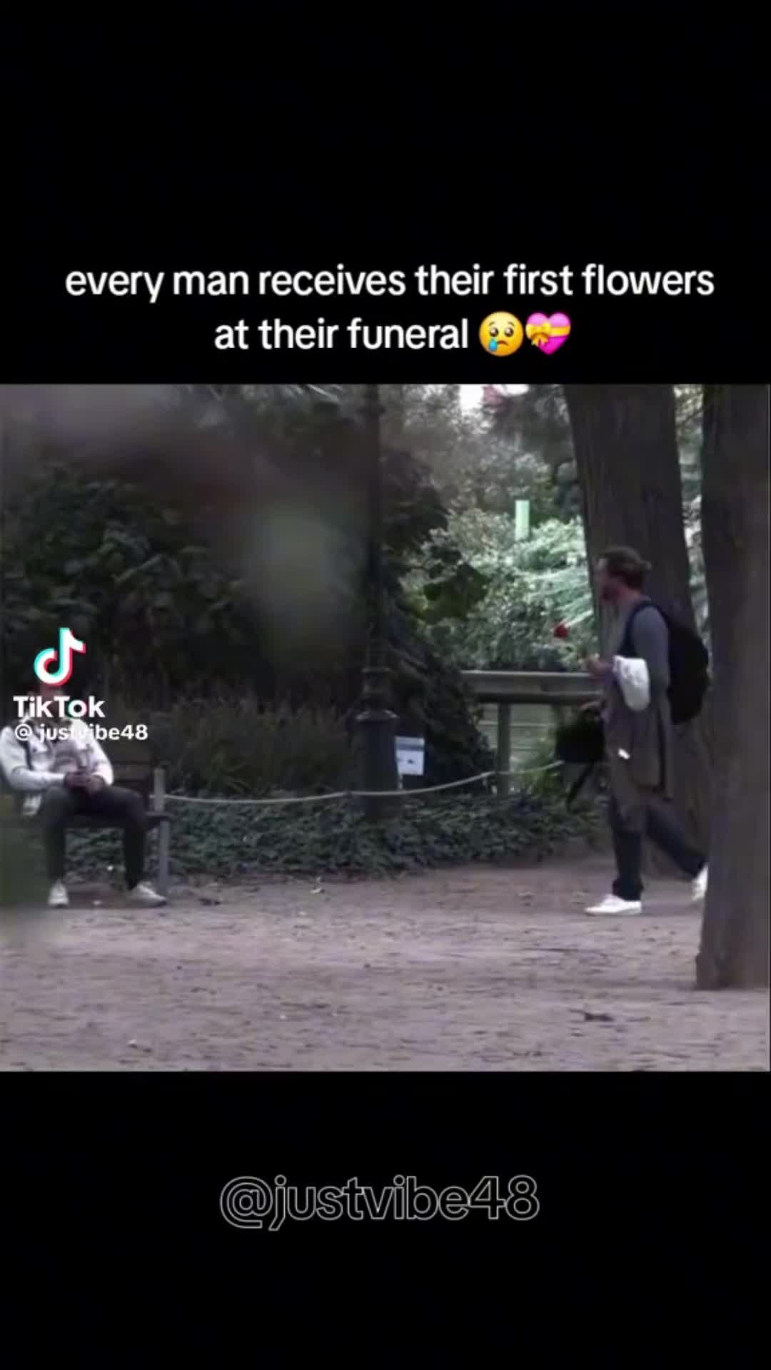 @José GB
