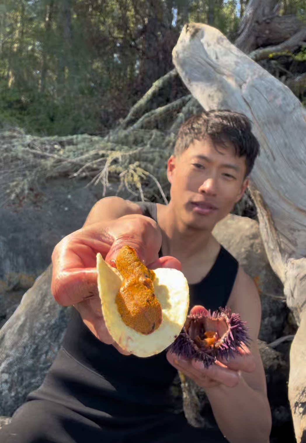 @JP