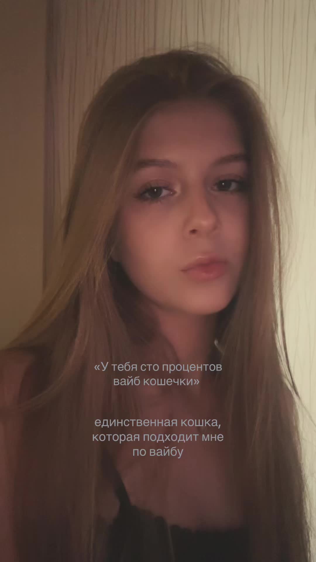 @mlem