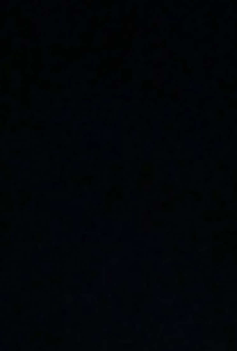 @𝐞𝐥𝐥𝐢𝐞𝐩𝐫𝐢𝐯