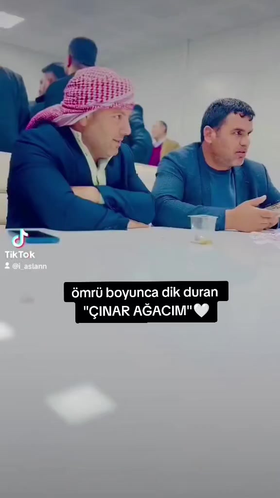 @Aslan bey