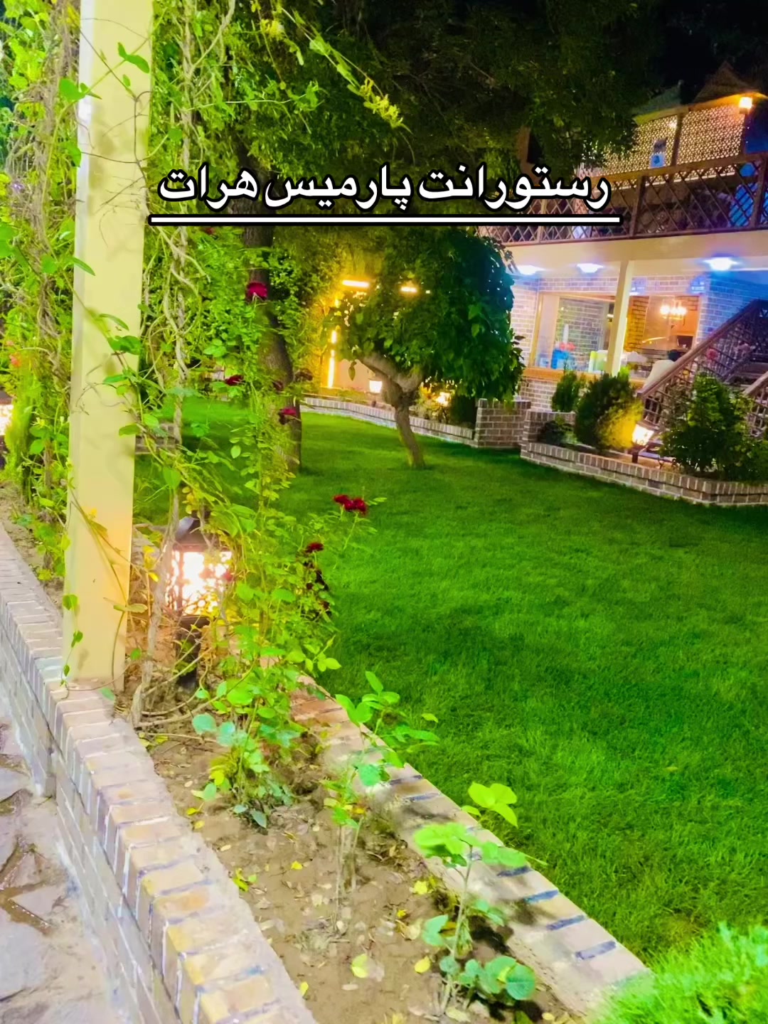 @__yalda__