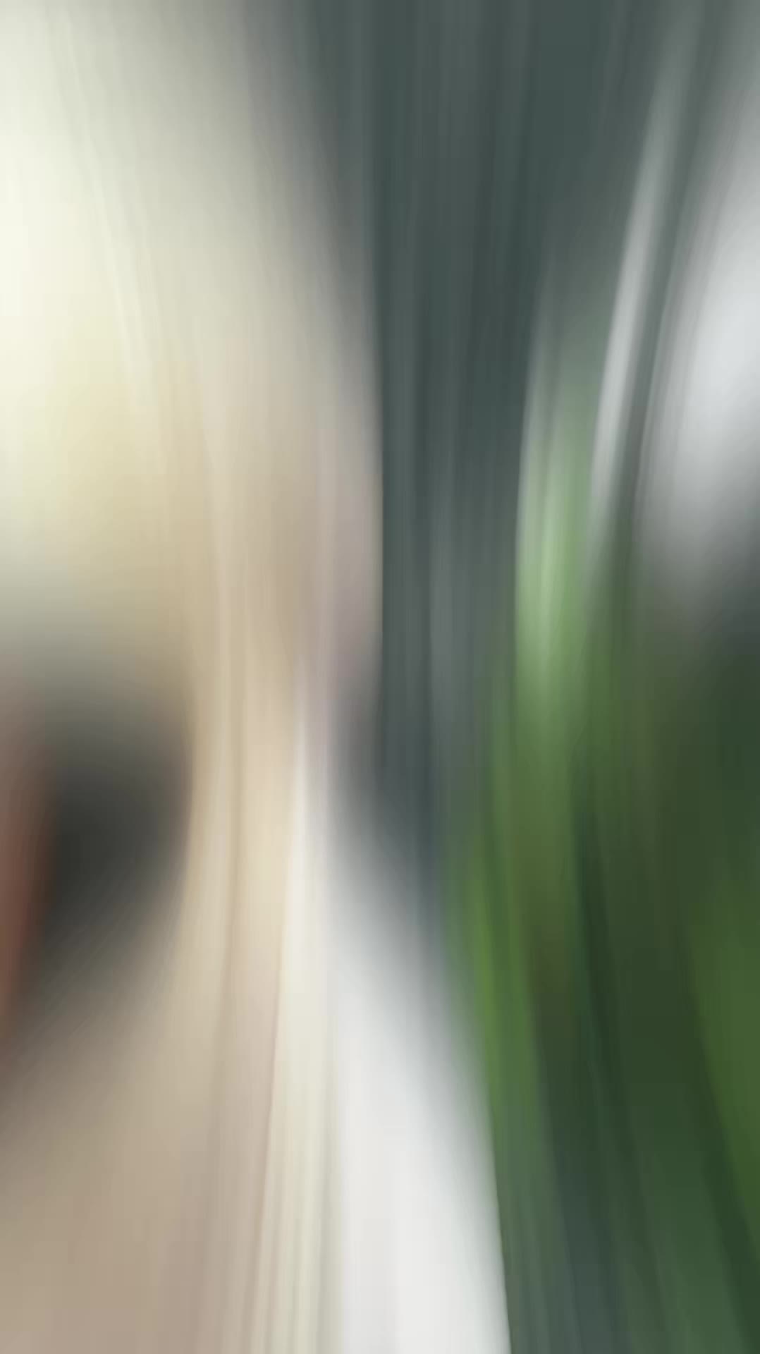 @bxnxxilxn🪬