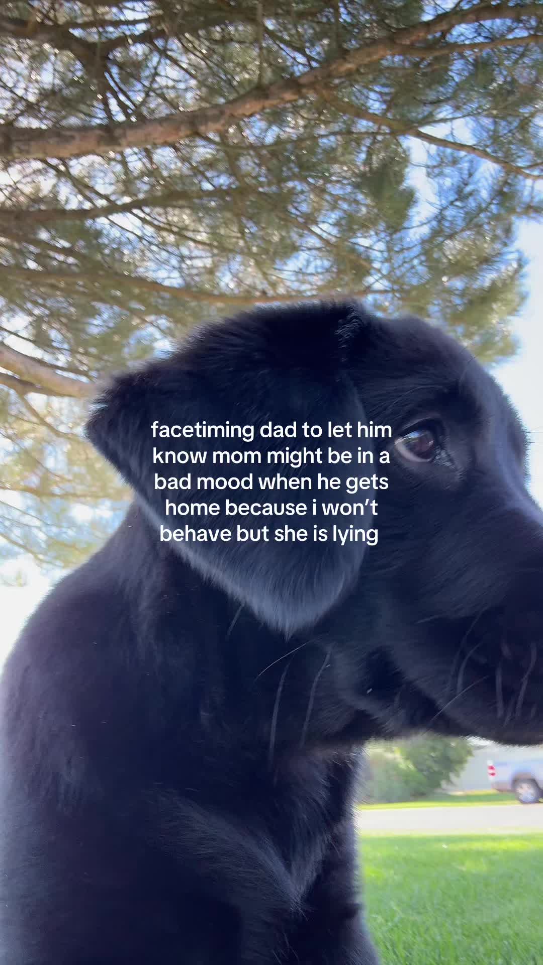 @Life with Luna🐾