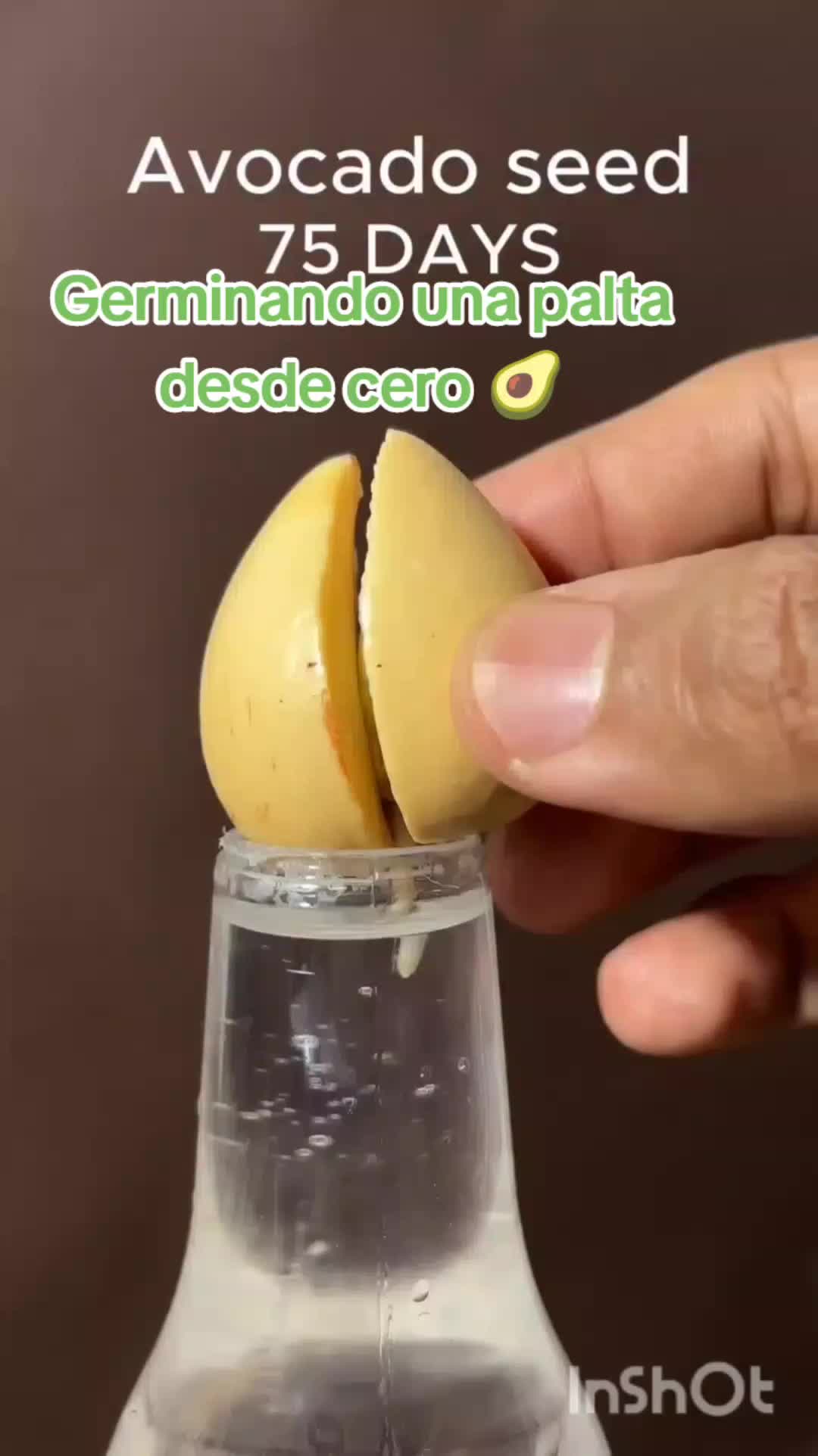 @user20505406424