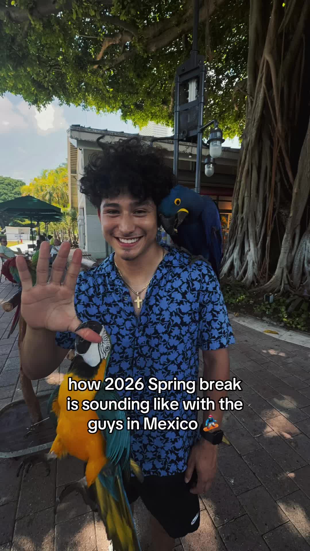 @jay