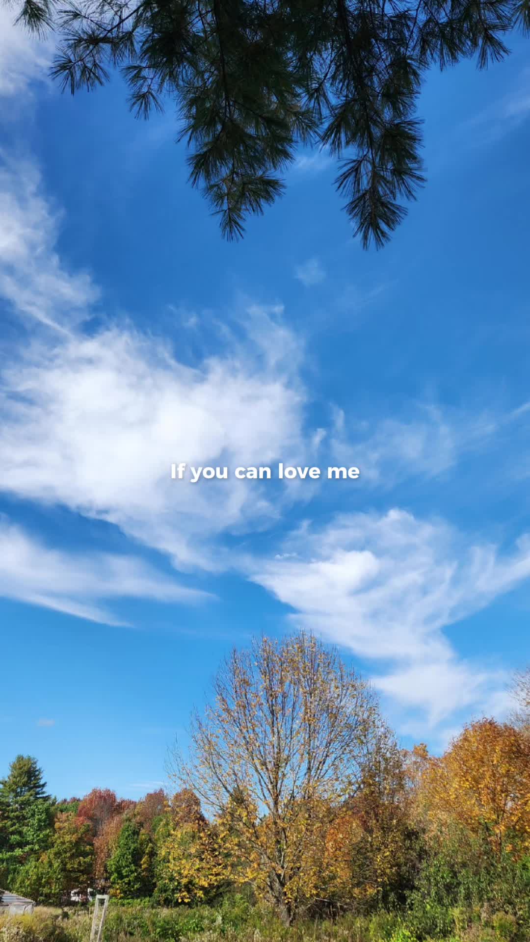 @cookie2025