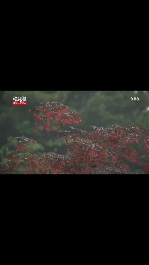 @Running man(1M)