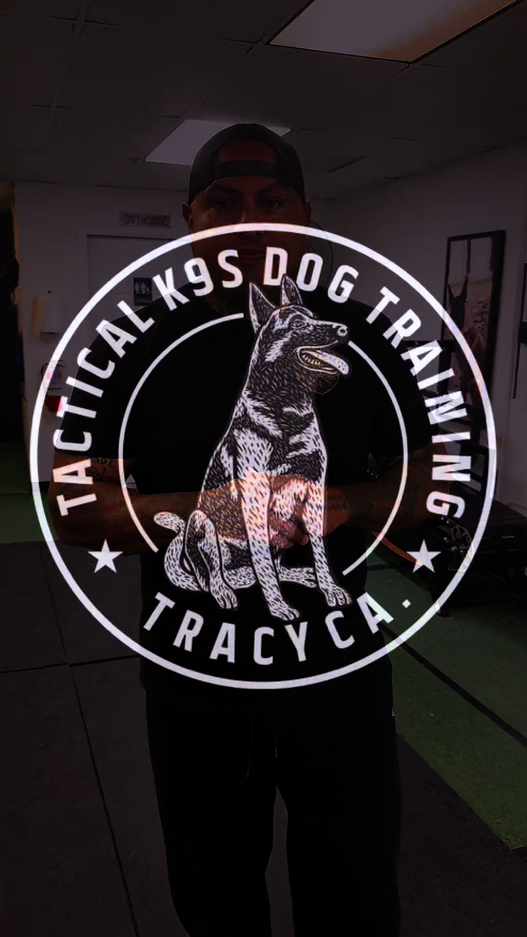 @Tactical K9s Dog Training