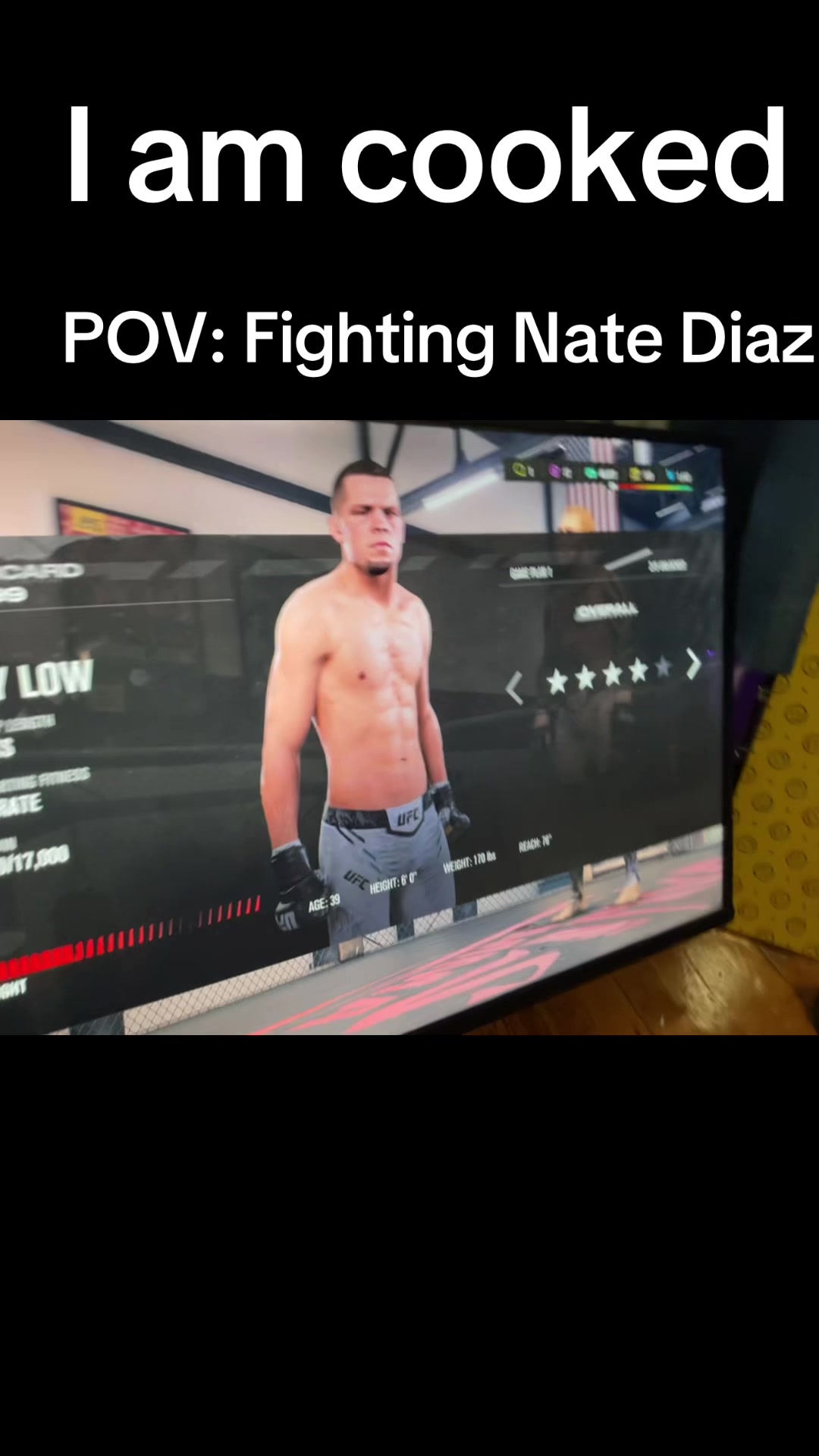 @Boxer fan
