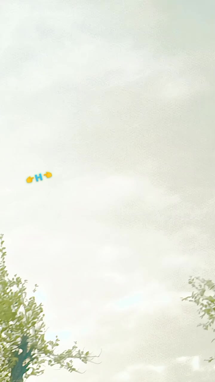 @🌸 R ᴏ ʜ ɪ B ʀ ᴀ ɴ ᴅ🌸