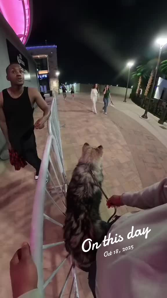 @Neko, Tokahli and Bear