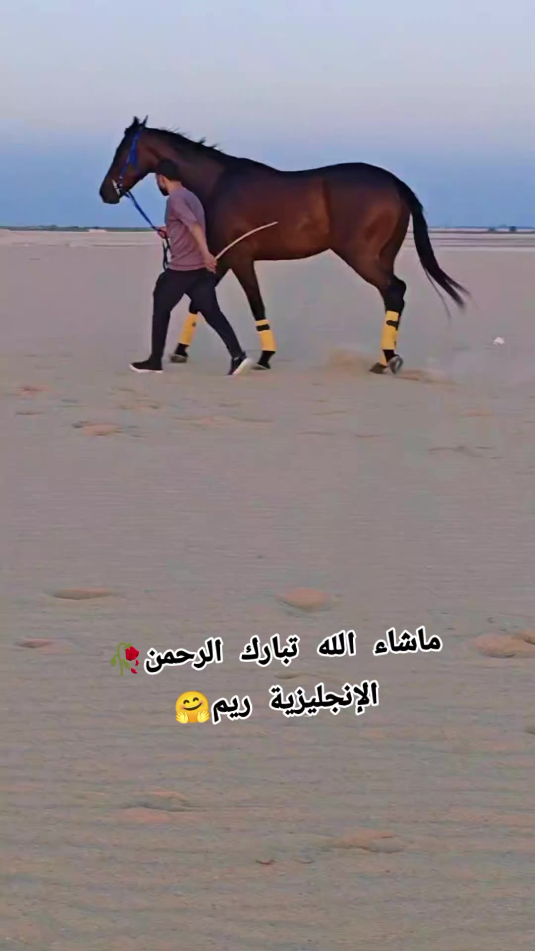 @چياب الاصايل