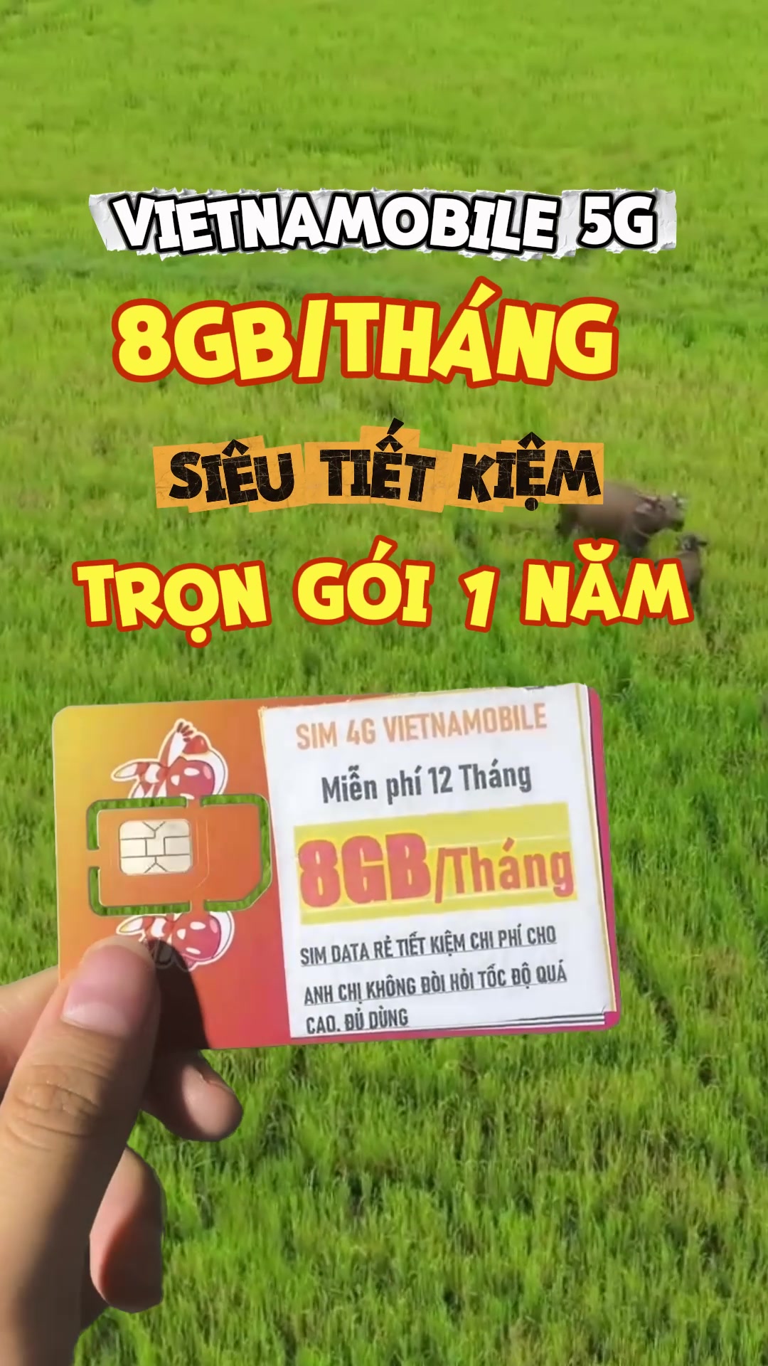 @Sim Khánh Vy