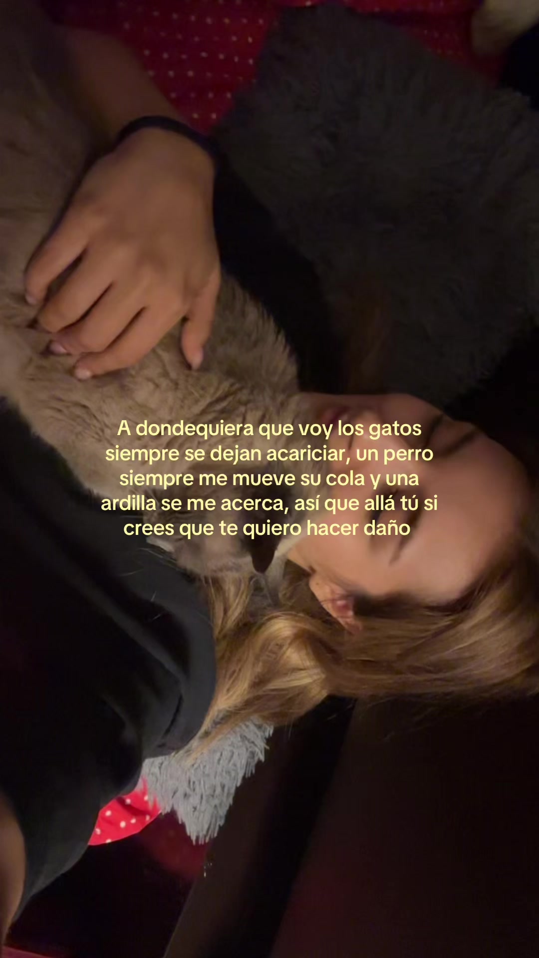 @Vi