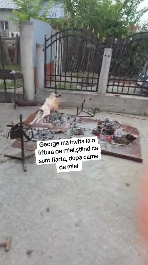 @Beni