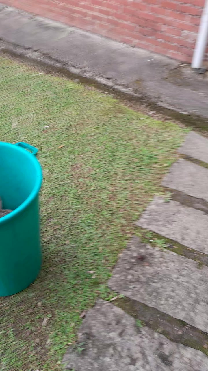 @Reginaldo dos santos pereira