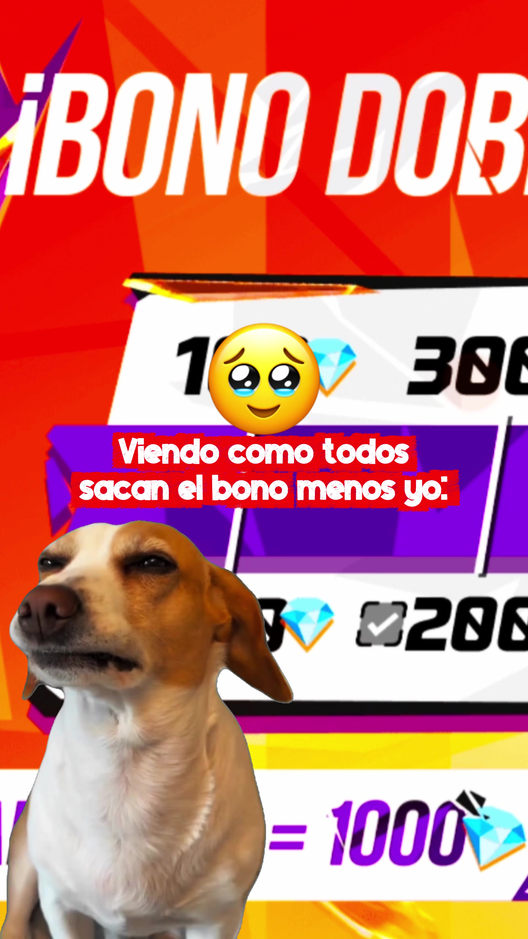 @elvicent_of