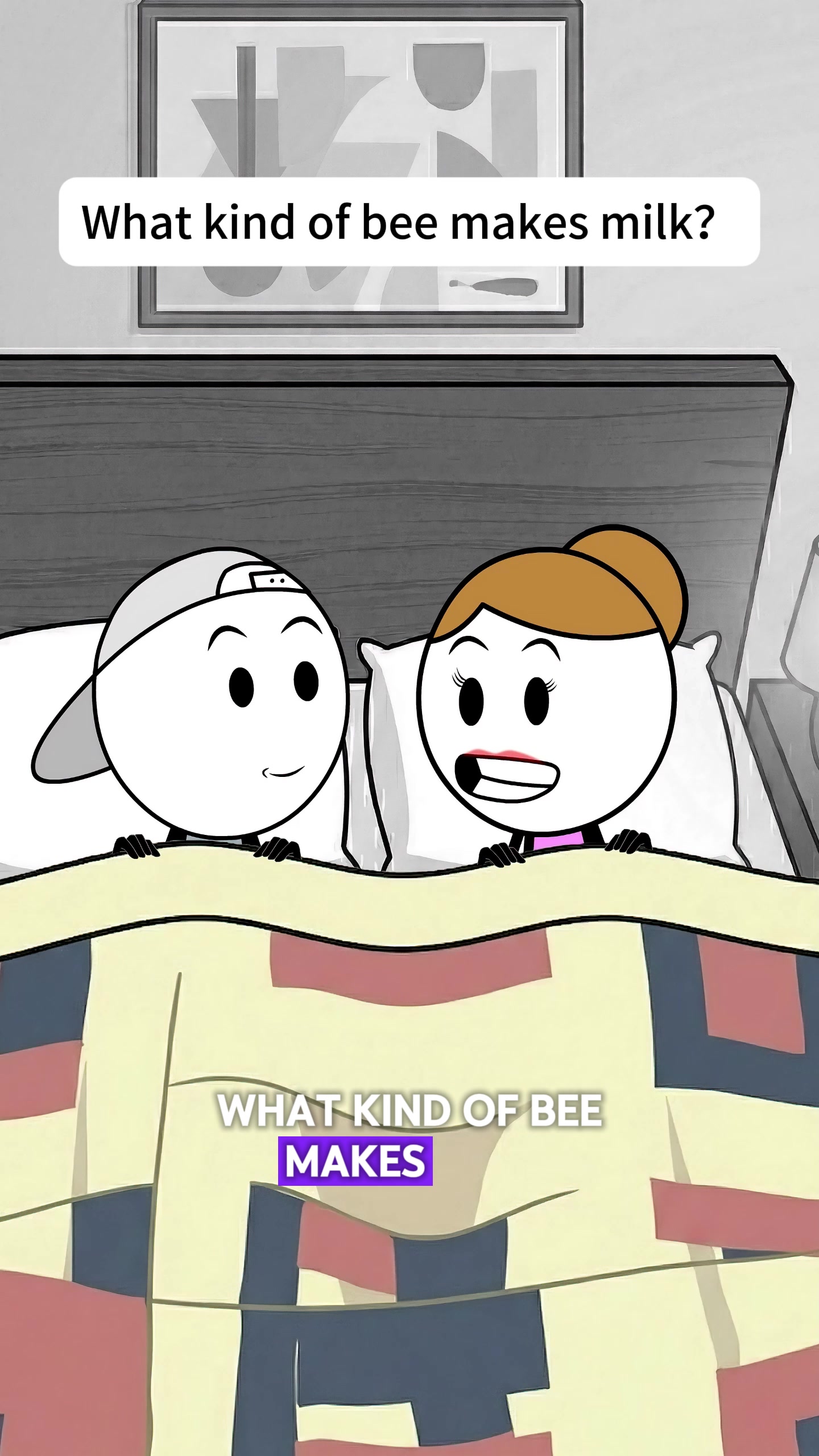 @quincy animation