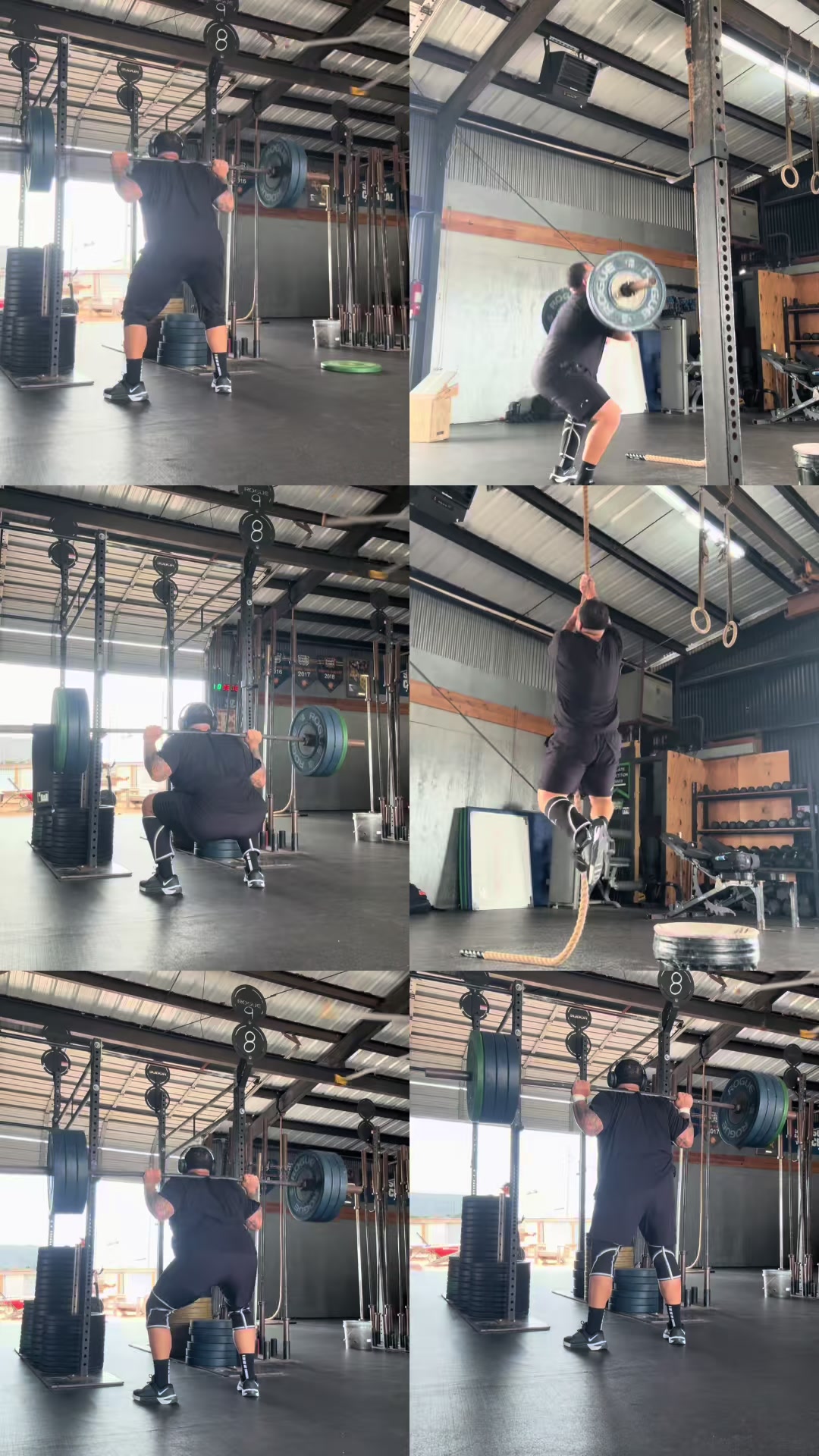 @Dewayne 🐼🐢🏋️