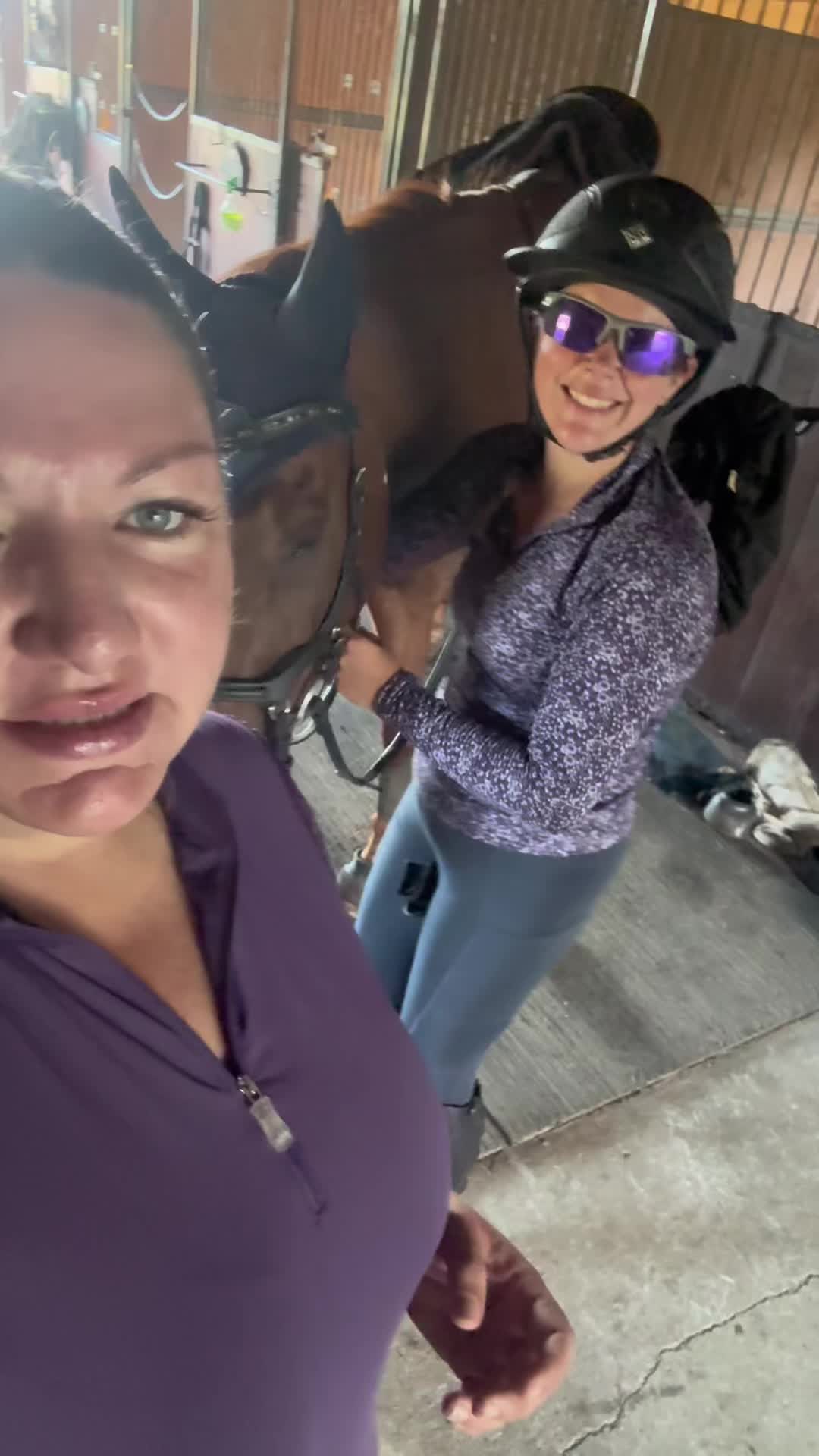 @MindsetEquestrian