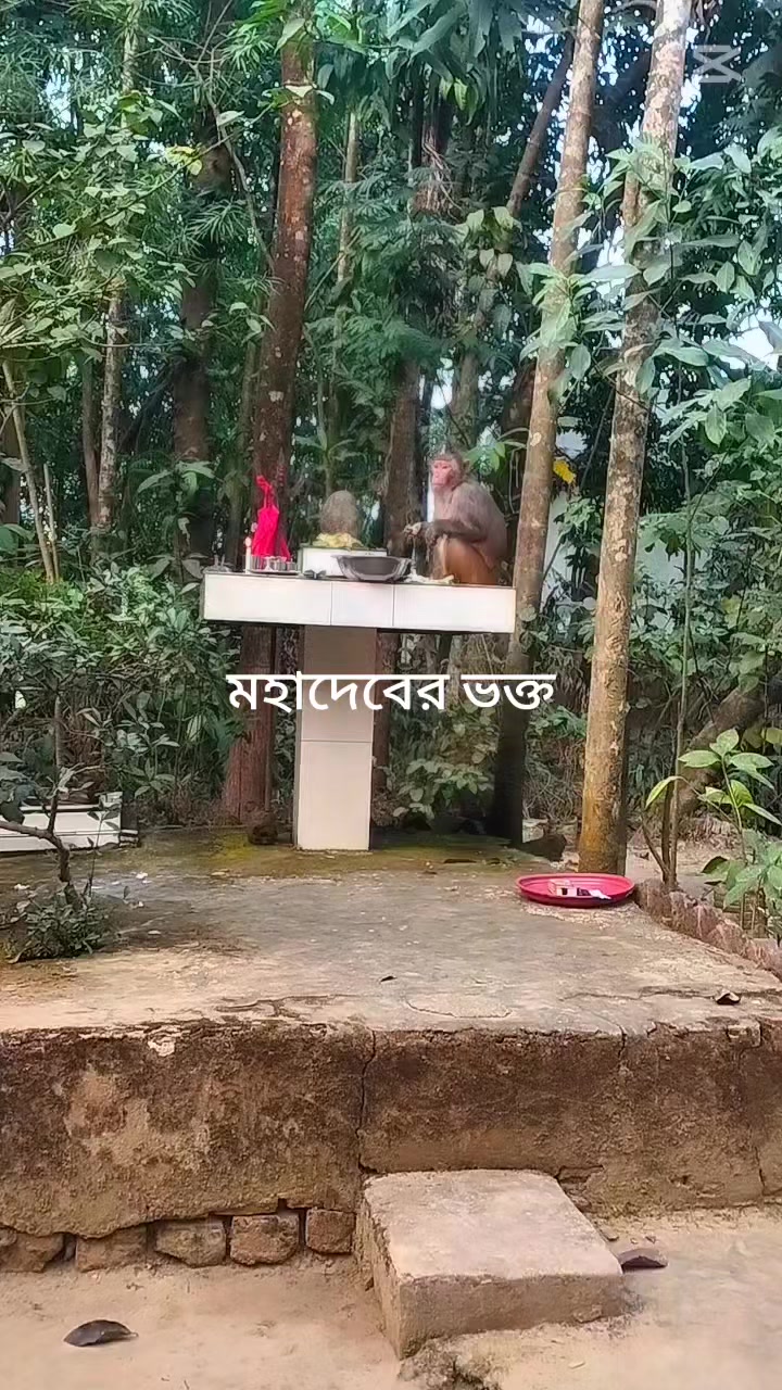 @RUHIT DEBNATH