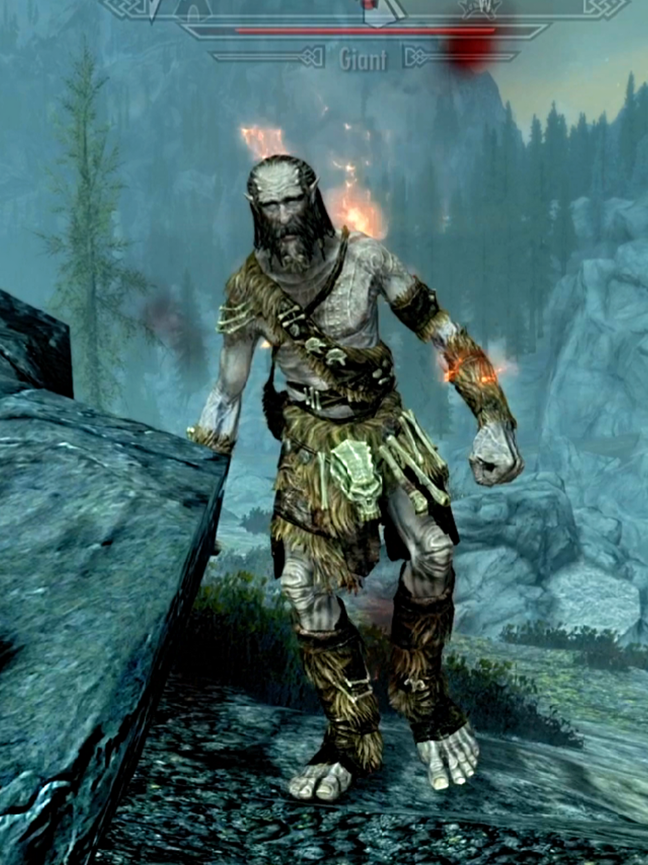 @Raymond Cyst, the Dragonborn