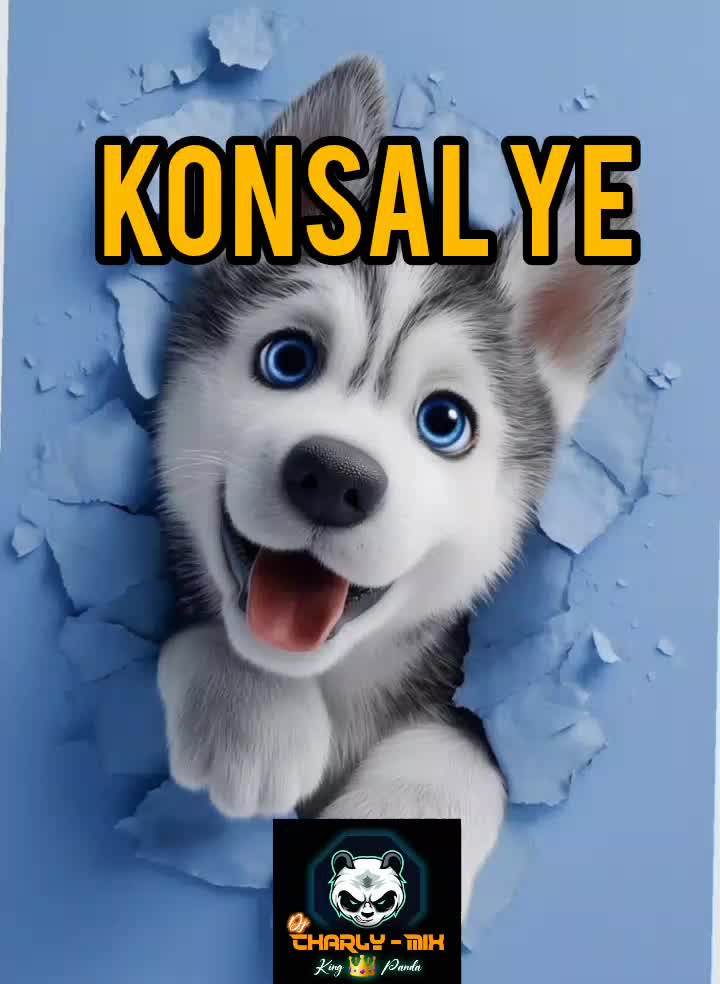 @👑panda🐼
