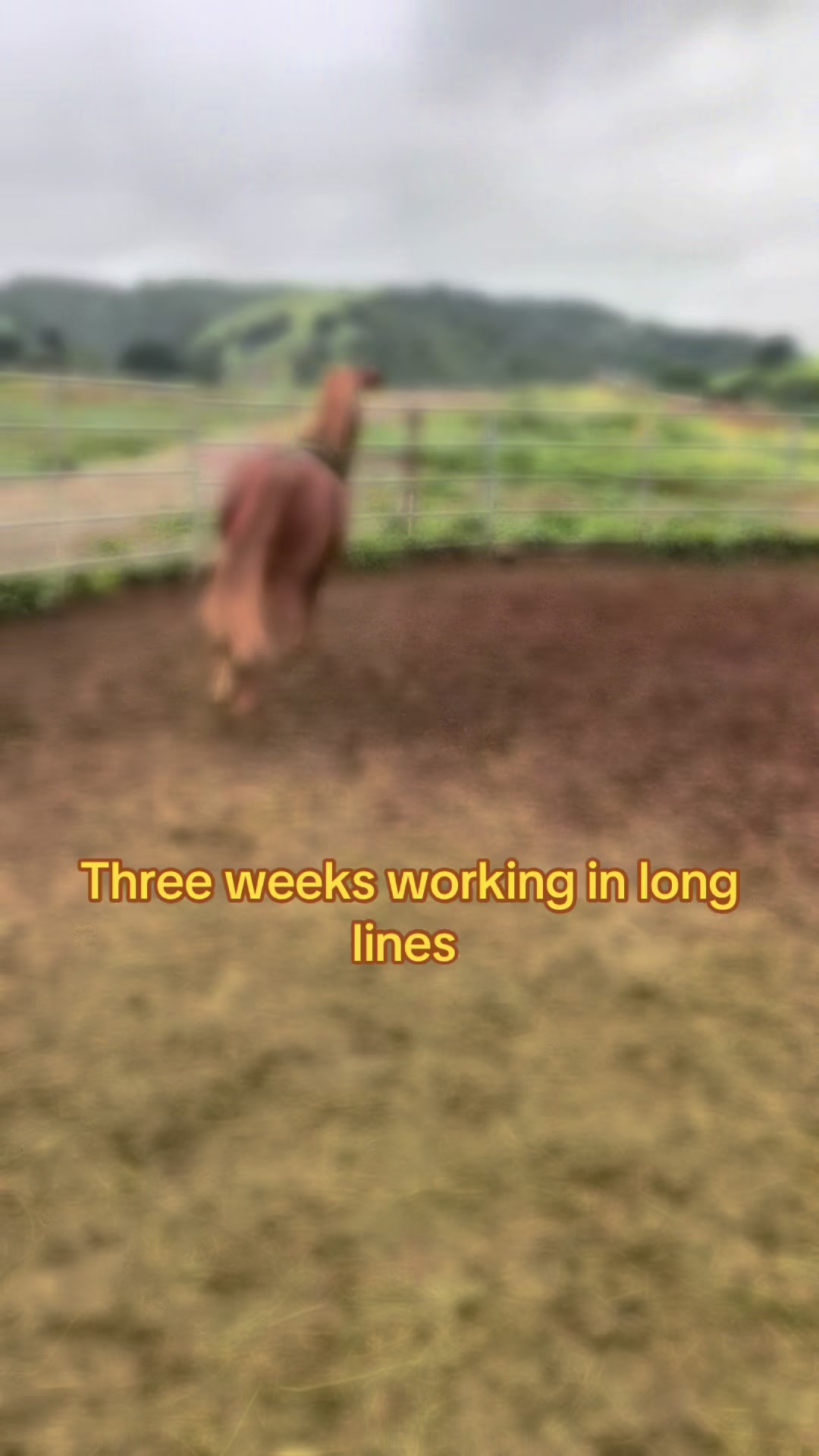 @BoeRanch14